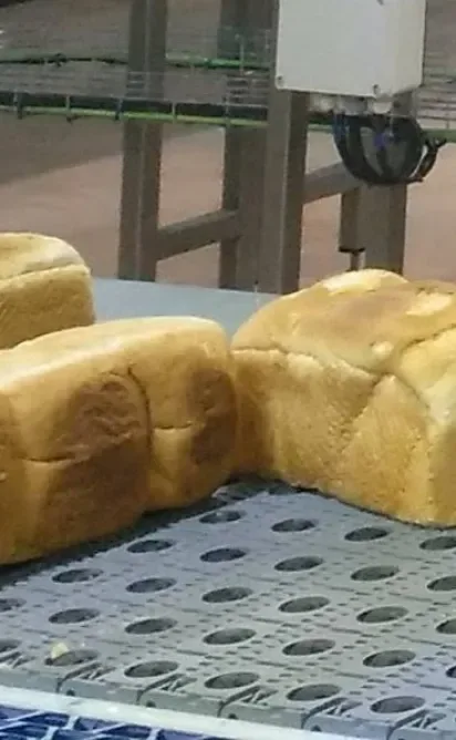 Alimentación y piensos