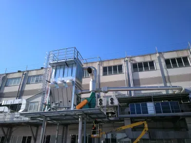 Alimentación y piensos